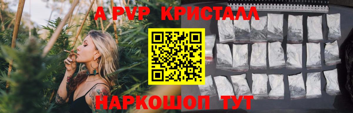 Альфа ПВП СК КРИС Дагестанские Огни