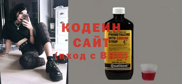 спиды Богородицк