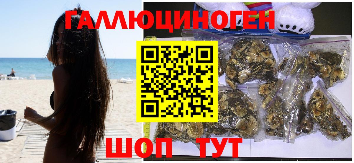 Галлюциногенные грибы мицелий Дагестанские Огни